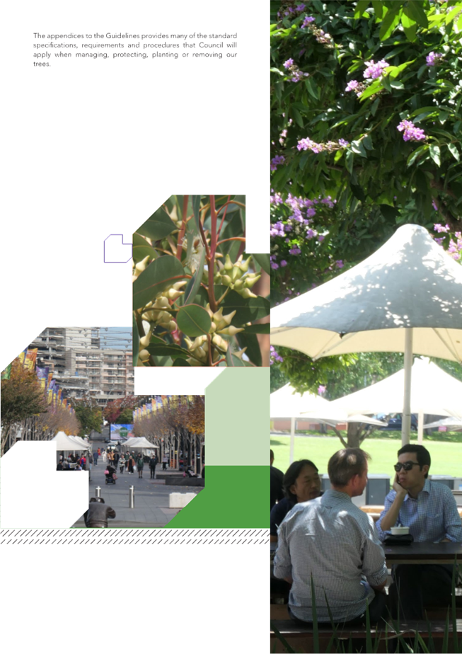 A collage of people sitting at a table

Description automatically generated