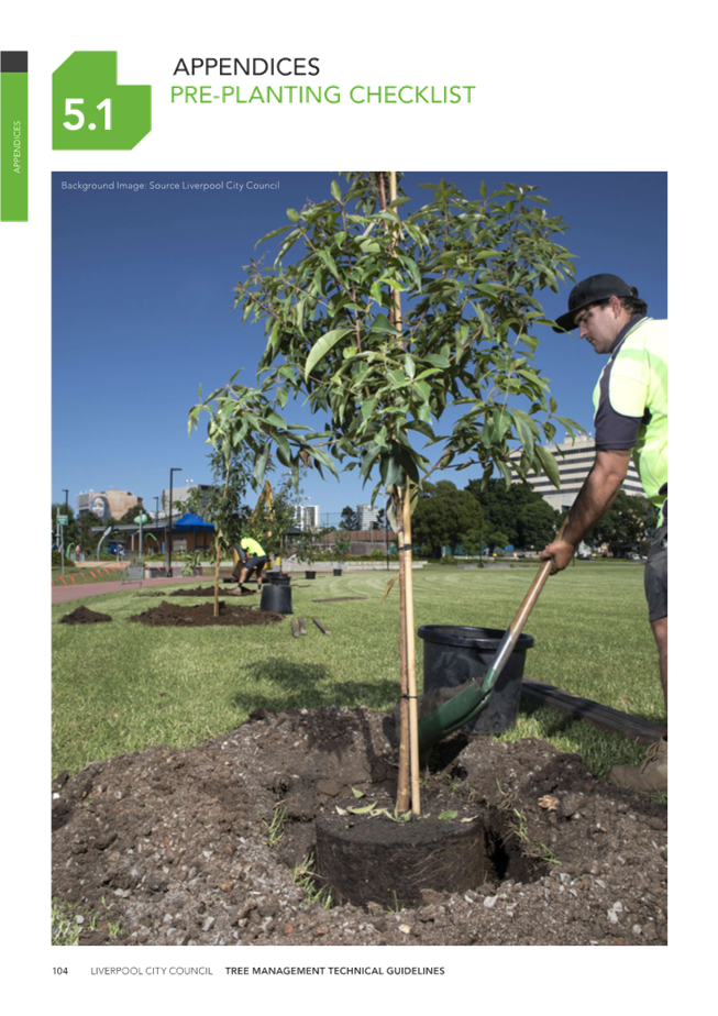 A person planting a tree

Description automatically generated