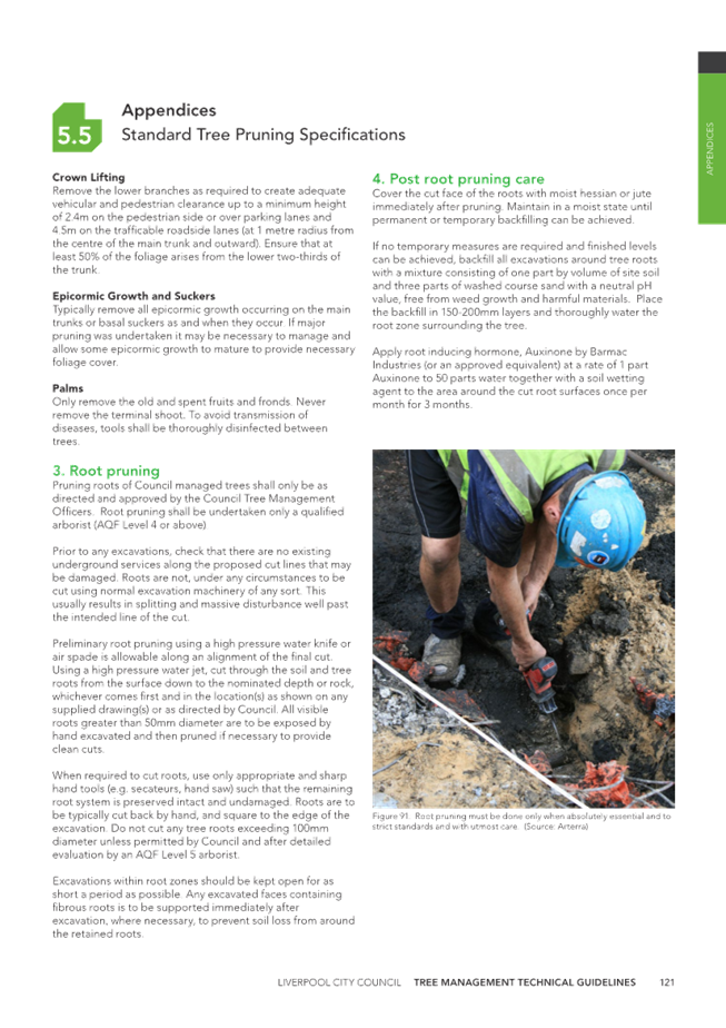 A person wearing a helmet and looking at a hole in the ground

Description automatically generated