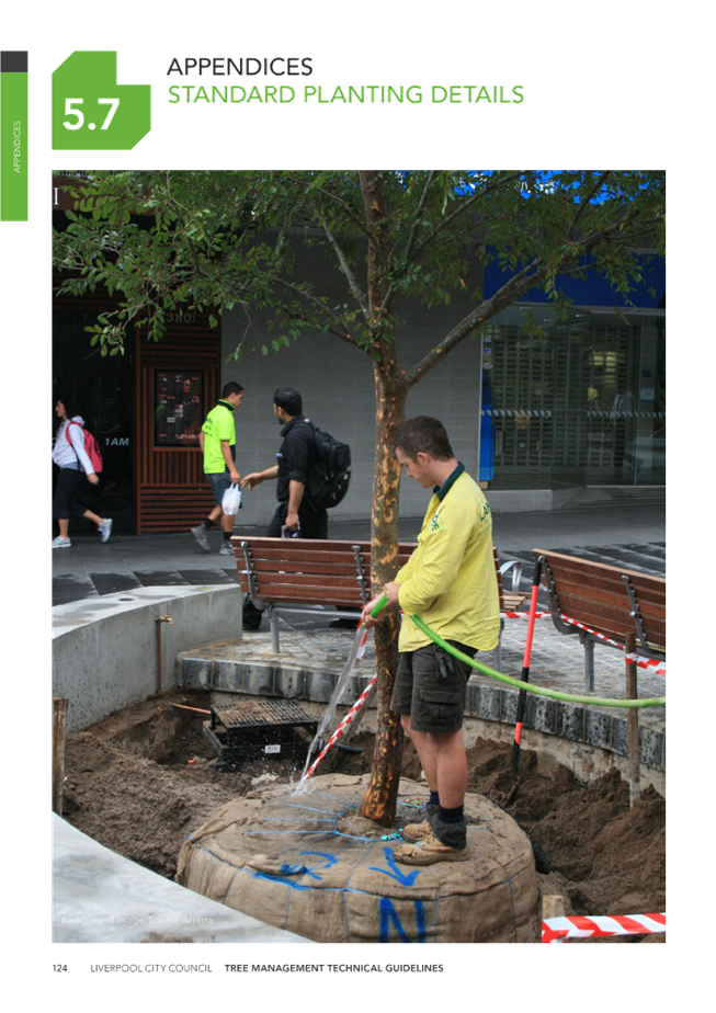 A person watering a tree

Description automatically generated
