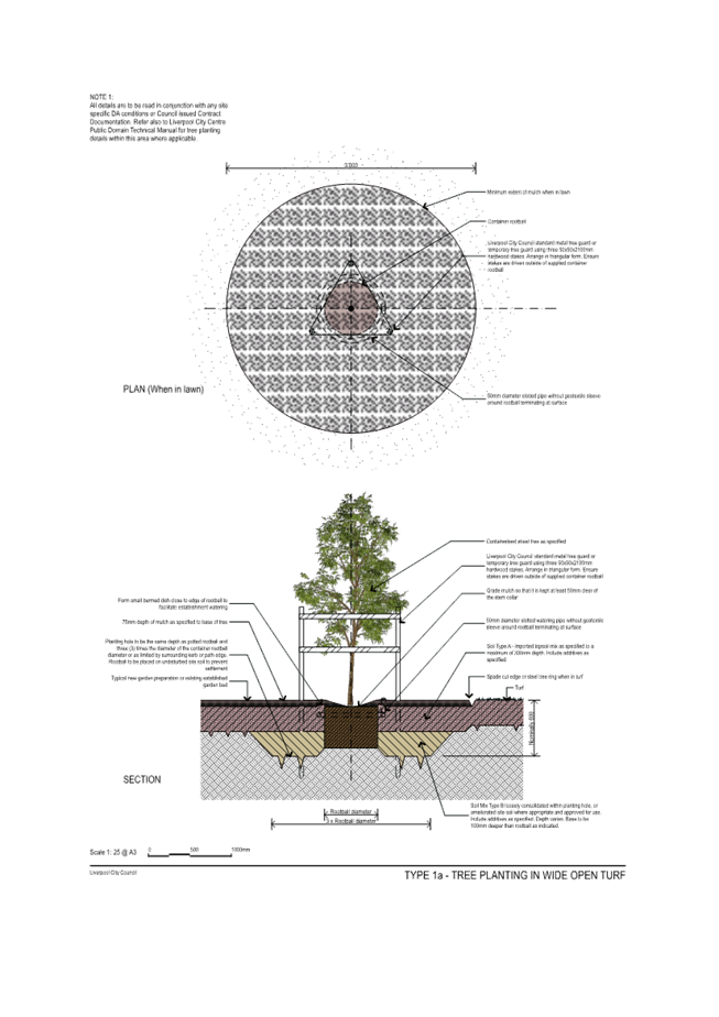 A diagram of a tree

Description automatically generated