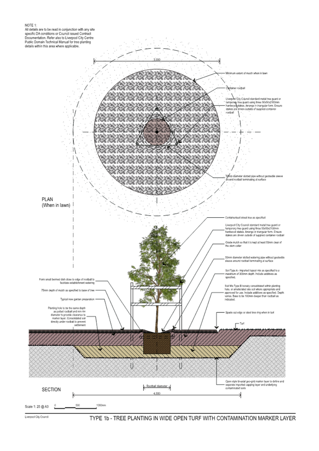 A diagram of a tree

Description automatically generated