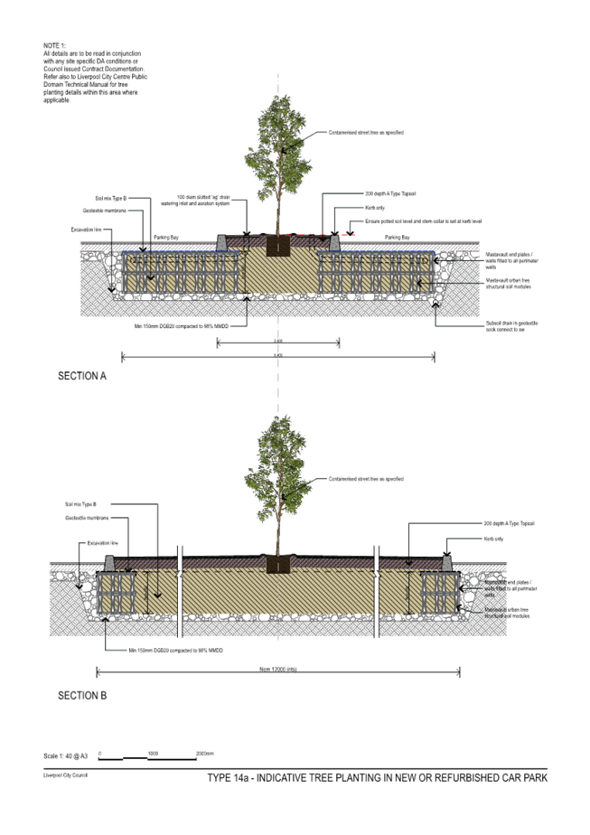 A diagram of a tree growing in a wall

Description automatically generated