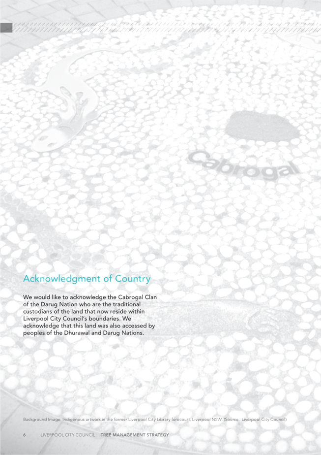 A white and grey background with text

Description automatically generated with medium confidence