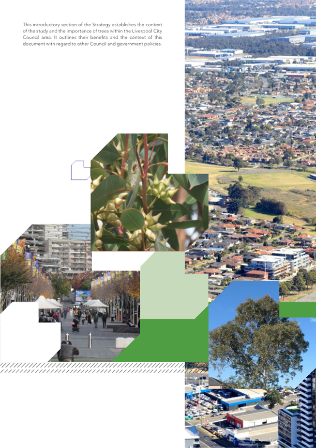 A collage of a city

Description automatically generated