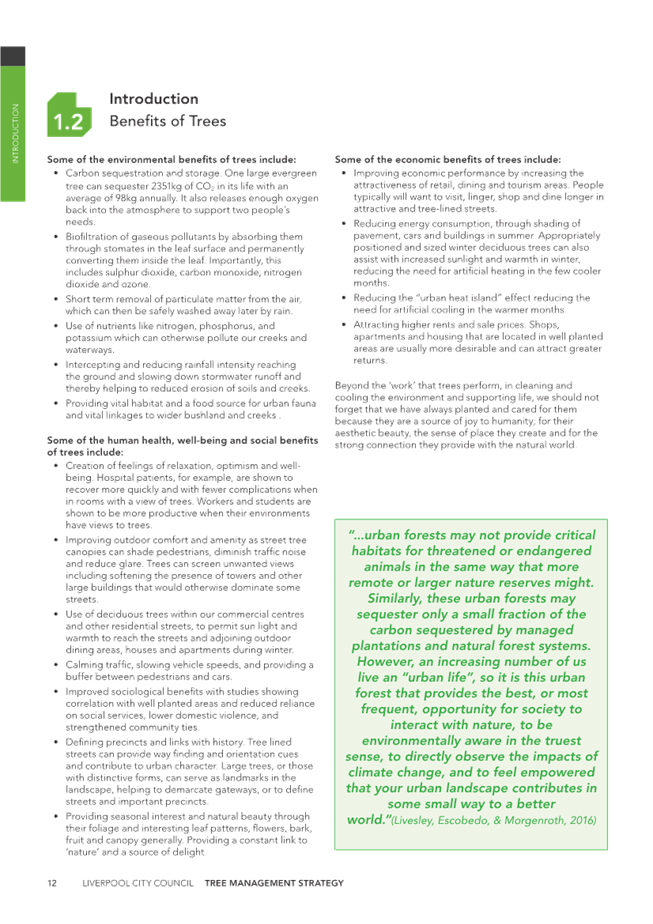 A page of a document

Description automatically generated