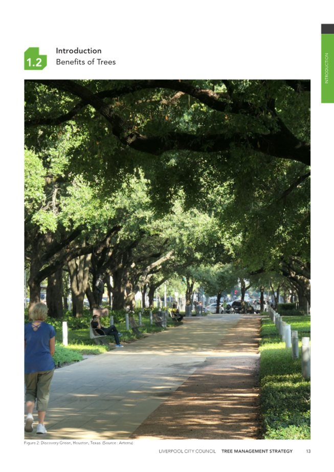 A screenshot of a phone

Description automatically generated