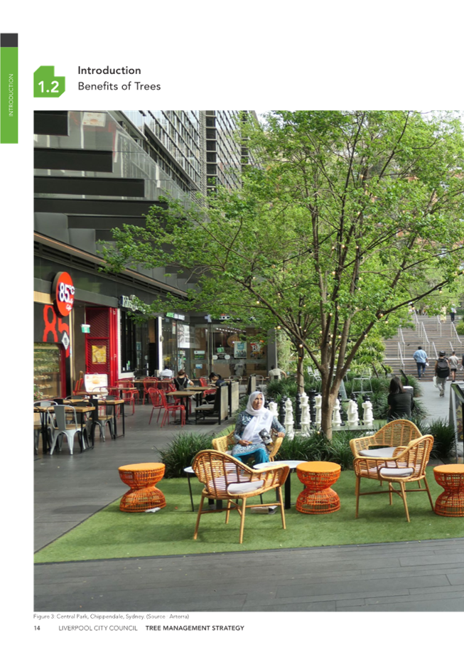 A person sitting on a chair outside

Description automatically generated