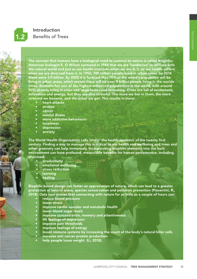 A screenshot of a website

Description automatically generated