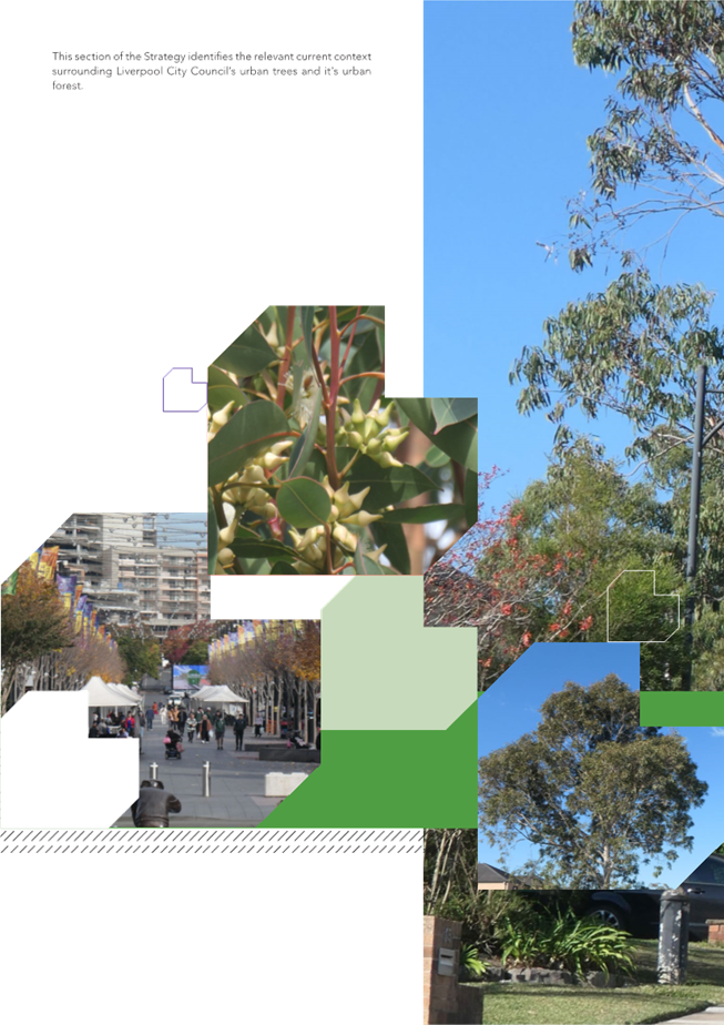 A collage of a street with trees and people

Description automatically generated