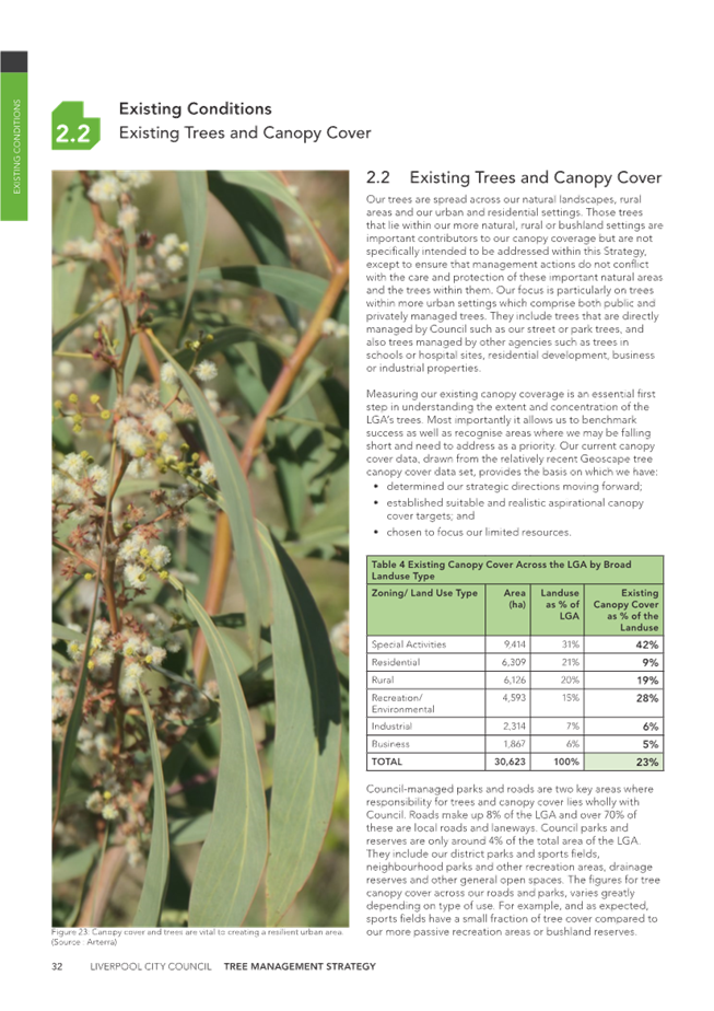 A close-up of a plant

Description automatically generated
