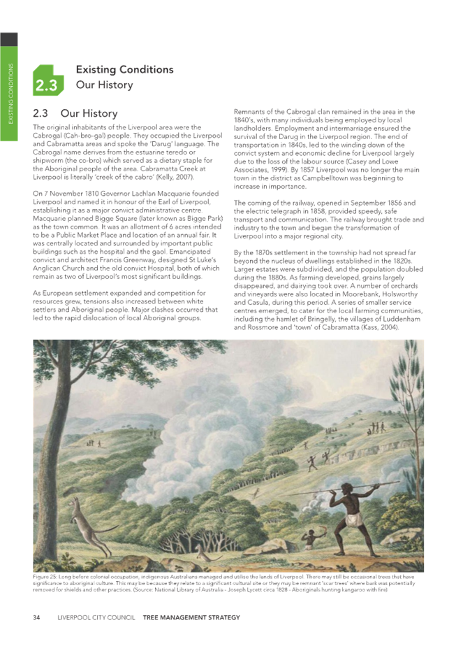 A page of a magazine with text

Description automatically generated