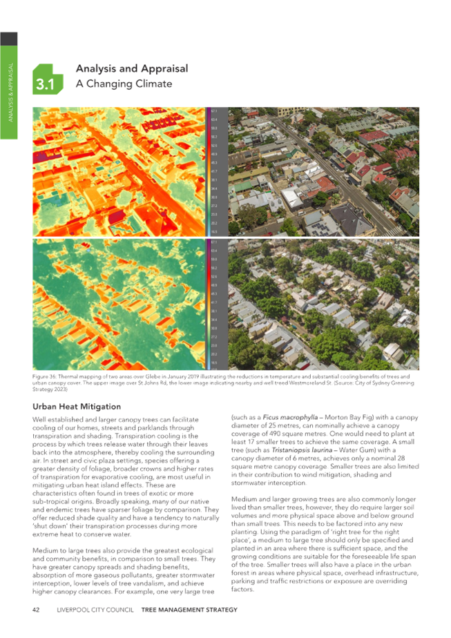 A collage of a city

Description automatically generated