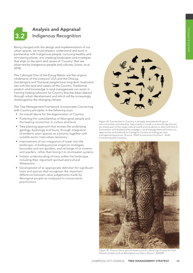 A close-up of a tree

Description automatically generated