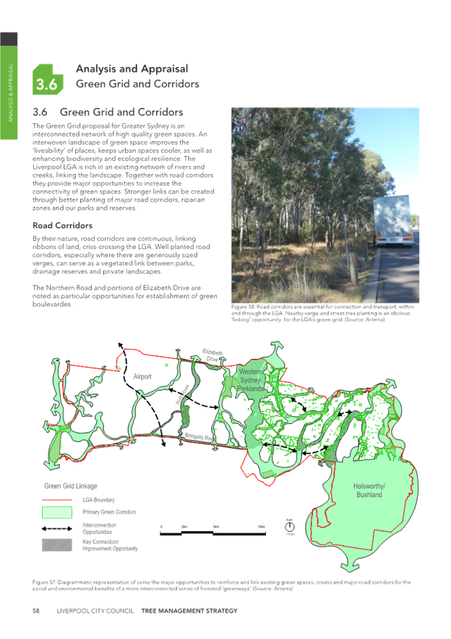 A map of a forest

Description automatically generated