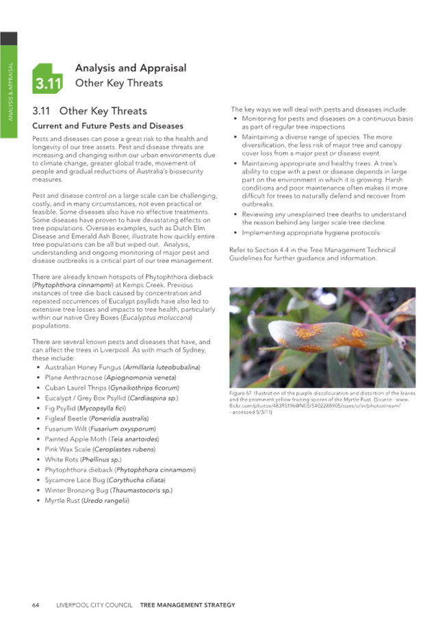 A close-up of a leaf

Description automatically generated