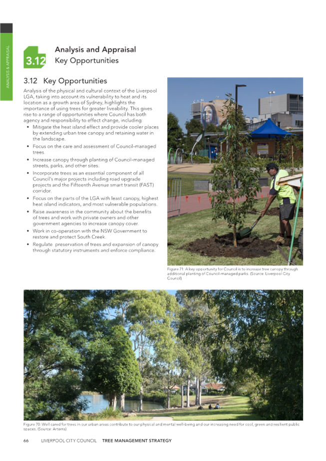 A person digging a tree

Description automatically generated