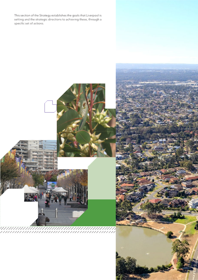 A collage of a city

Description automatically generated