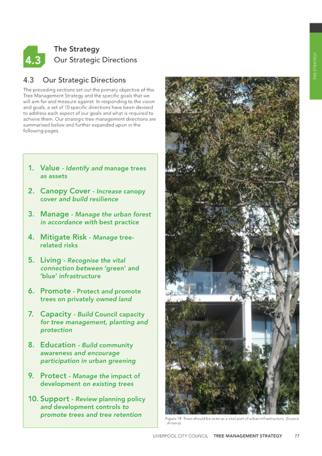 A brochure of a tree and a building

Description automatically generated